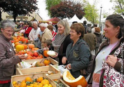 ces dames vont sans doute cuisiner des potirons à leurs époux...