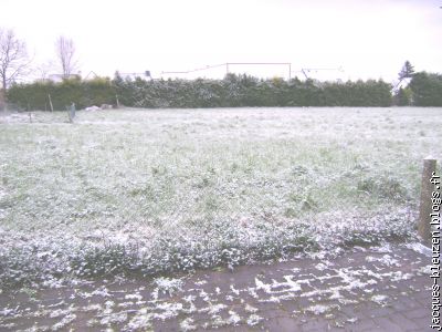 le champ a bien voulu garder son manteau blanc