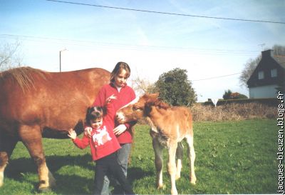 Solenn et sa petite cousine Méline aiment les chevaux