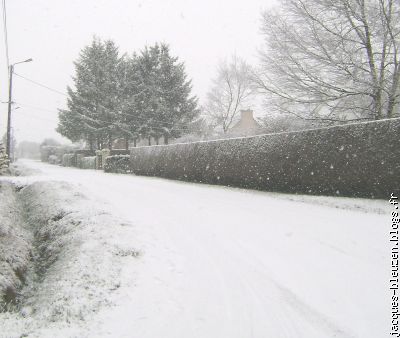 la rue des ajoncs d'or