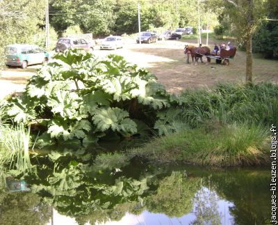 la calèche de Daniel Massé, de Kerbiquet.