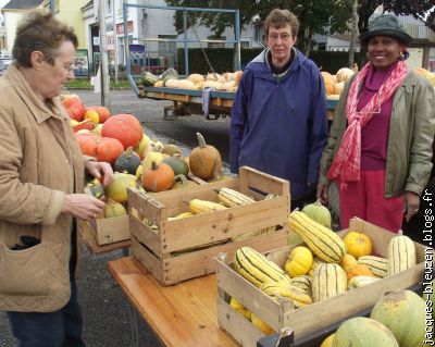 ces dames font la promotion des courges moins connues que les potimar